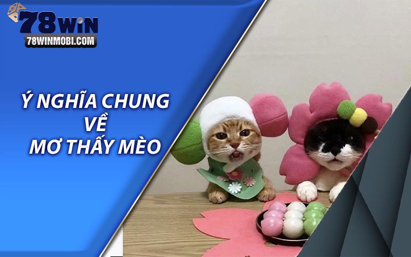 Ý nghĩa chung về giấc mơ thấy mèo 