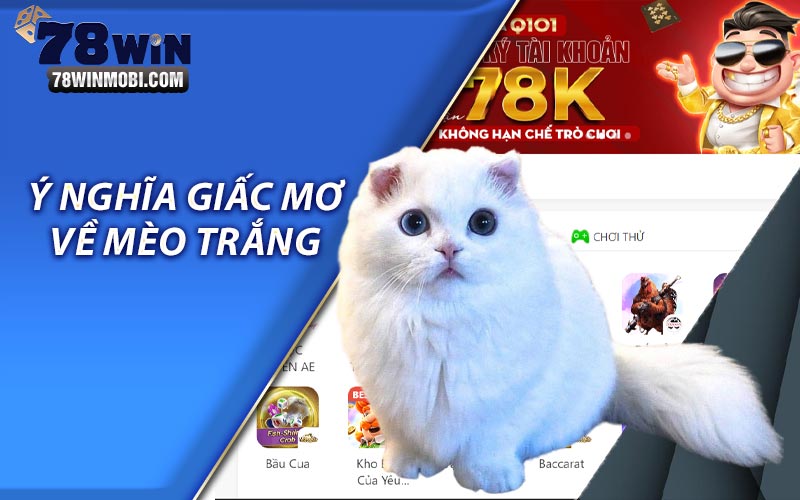 Ý nghĩa giấc mơ về mèo trắng 