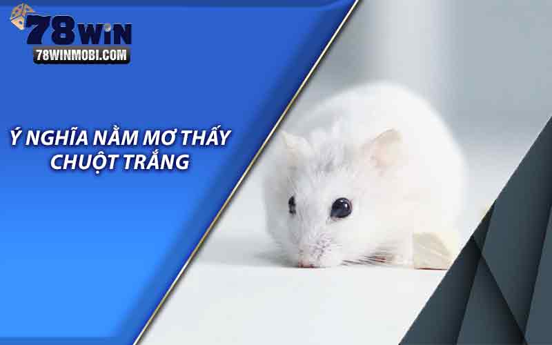 Ý nghĩa nằm mơ thấy chuột trắng 