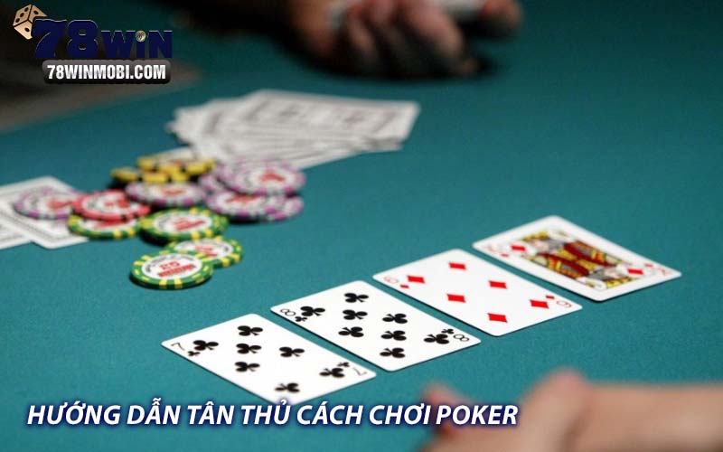 Hướng dẫn tân thủ cách chơi Poker